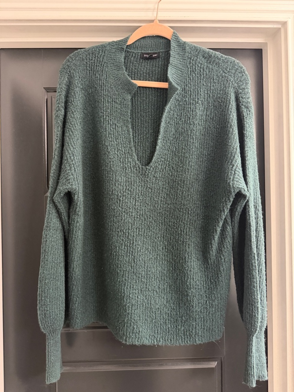 Blu Pepper Deep Green V-Notch Textured Sweater